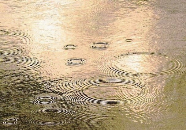 Photo: raindrops on a puddle, colors are golds in sunshine