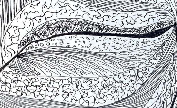 Abstract art: black and white, almost leaf-shaped, with layers of small designs, streaks, squiggles, circles, image by slowrabbit, on Pixabay, modified.