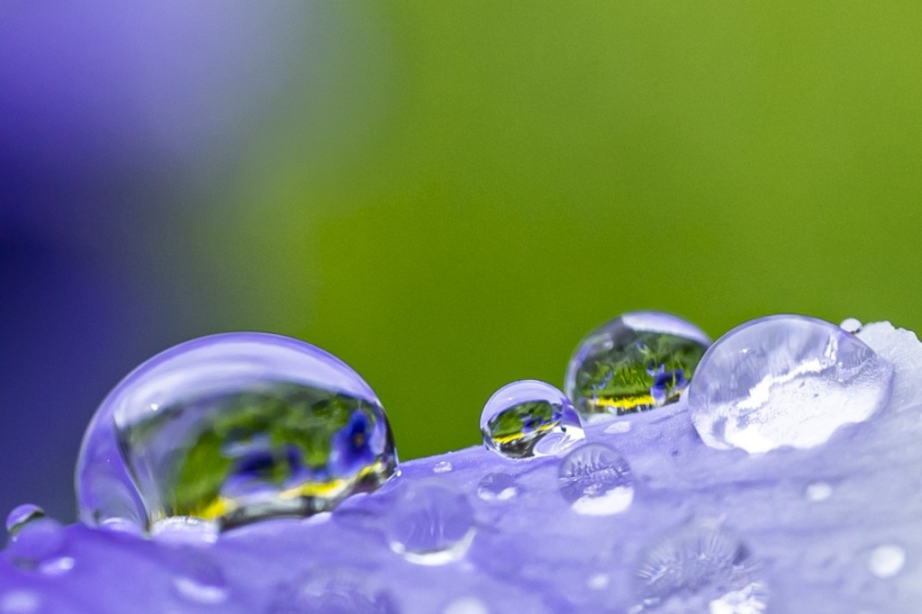 Up-close photo: translucent raindrops of varying sizes, on an amethyst surface, with blurred green and amethyst in background, image by Christo Anestev, on Pixabay.